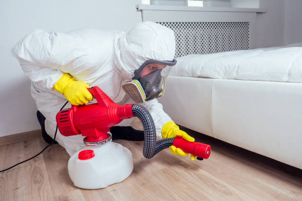 Best Best Pest Control Companies  in New Market, TN