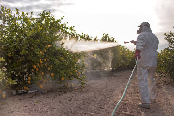 Pest Control for Restaurants in New Market, TN