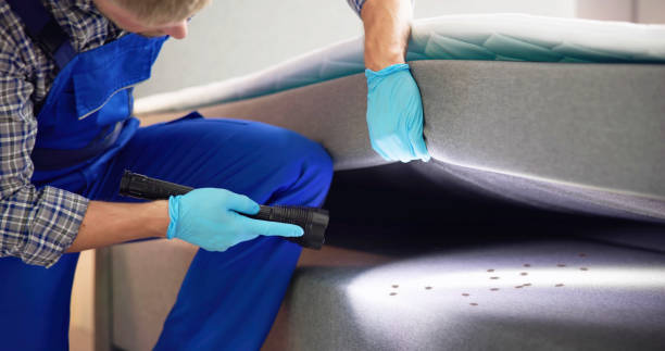 Flea Control Services in New Market, TN