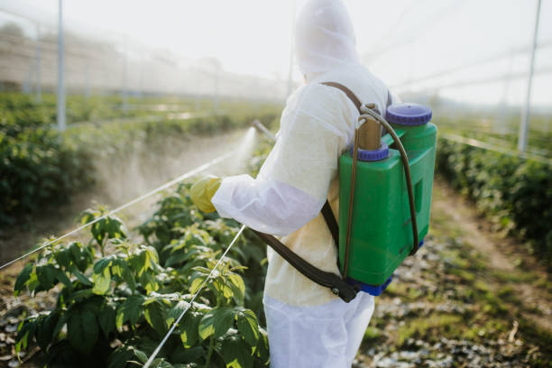 Best Emergency Pest Control  in New Market, TN